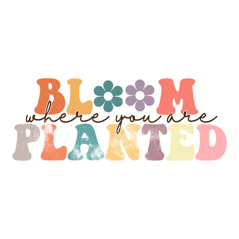 Bloom Where You Are Planted  Digital Diy Crafts Svg Files For Cricut