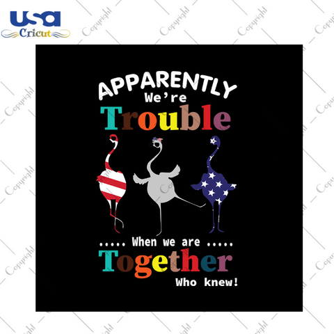 Apparently were trouble when we are together who knew svg, independence day svg, inspirational quotes, america flag, 4th of july gift, flamingo svg