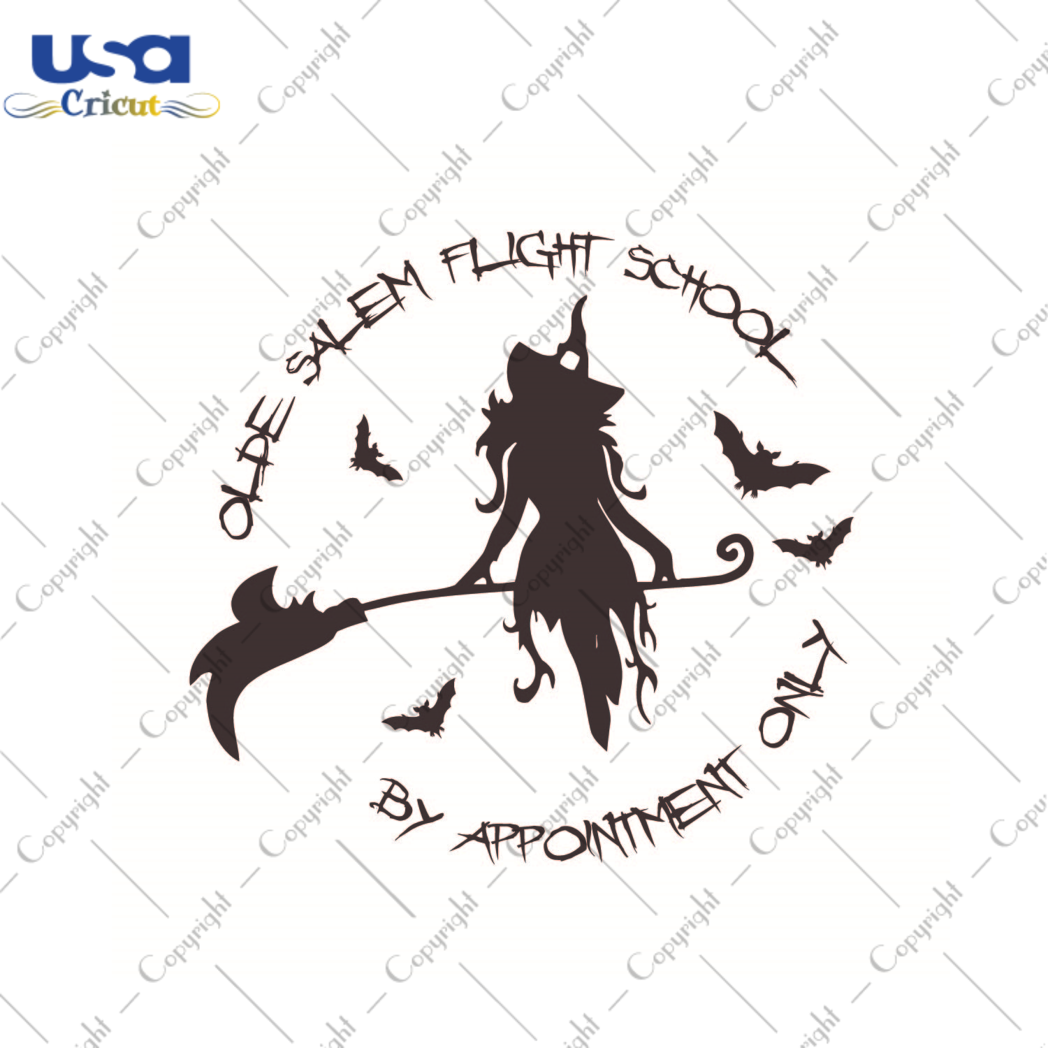 Olde Salem Flight School By Appointment Only Halloween Witches Gift Diy Crafts Svg Files For Cricut, Silhouette Sublimation Files