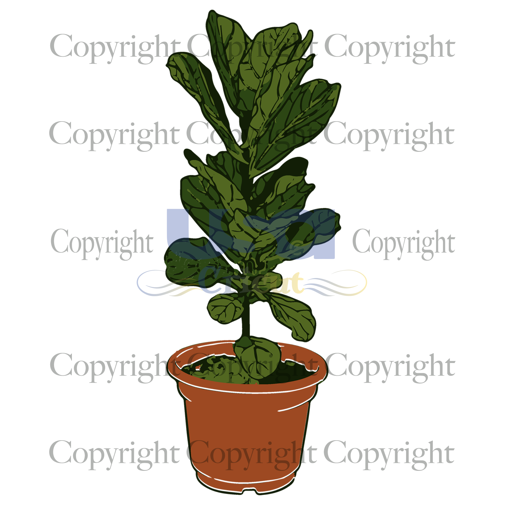 Fiddle Leaf Fig, Trending Svg, Plant Svg, Live House Plant, Diy Crafts SVG Files For Cricut Instant Download File - USA Cricut