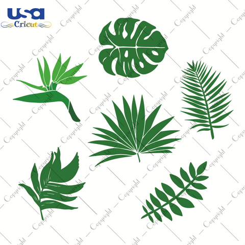 Tropical Leaves Bundle Svg, Trending Svg, Monstera Leaf Svg Clipart, SVG files for cricut Instant Download Version - USA Cricut