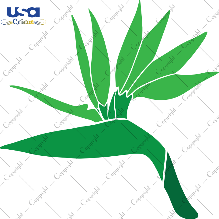 Tropical Plants Svg, Trending Svg, Tropical Leaves, Monstera Leaf, Diy Crafts SVG Files For Cricut, Silhouette Sublimation Files, Cameo Htv Prints, Shirt Design Ideas - USA Cricut